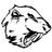 Castoroides Embryo