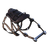 Dakosaurus Saddle