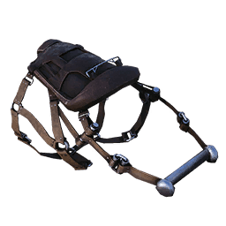 Dakosaurus Saddle