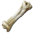 Dinosaur Bone
