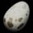 Dodo Egg