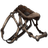 Mosasaur Saddle