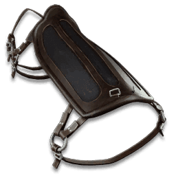 Onchopristis Saddle