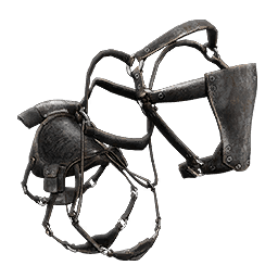 Seahorse Saddle