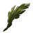 Seaweed