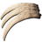 Therizino Claws