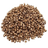 Tobacco Seed (Primitive Plus)