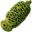 Verdberry Seed