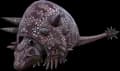 Aberrant Doedicurus