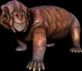 Aberrant Lystrosaurus