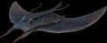 Aberrant Manta