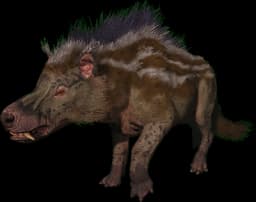 Andrewsarchus