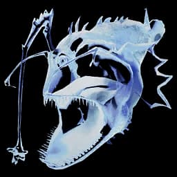Anglerfish Ghost