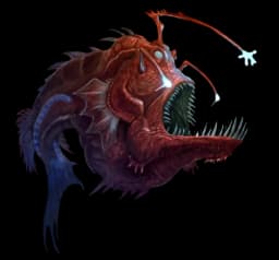 Aberrant Anglerfish