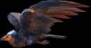 Argentavis