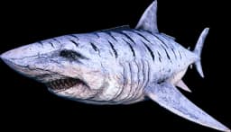 Astral Megalodon