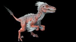 Astral Raptor