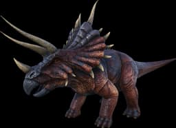 Triceratops
