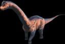 Brontosaurus