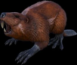 Castoroides