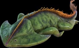 Diplocaulus