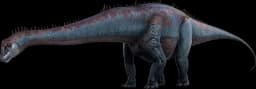 Diplodocus
