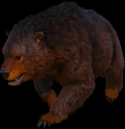 Rubble Bear