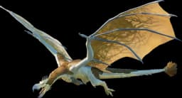 Dodo Wyvern