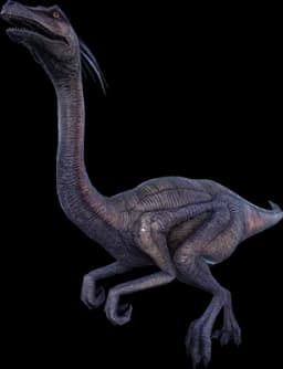 Gallimimus