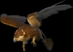 Griffin