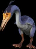 Hesperornis