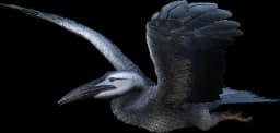 Ichthyornis