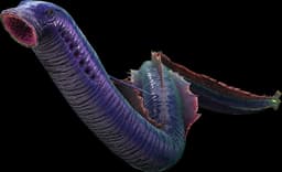Lamprey
