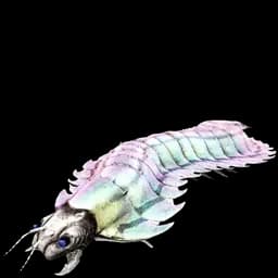 Lightning Arthropluera