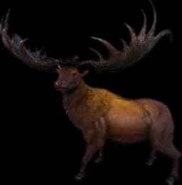 Megaloceros