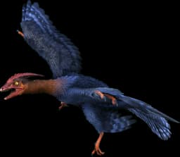 Microraptor