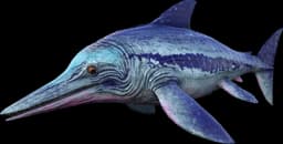 X-Ichthyosaurus