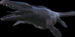 X-Mosasaurus