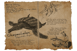 Ocepechelon