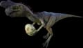 Oviraptor