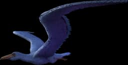 Pelagornis