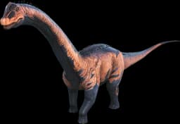R-Brontosaurus