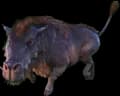R-Daeodon