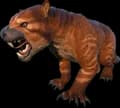 R-Thylacoleo