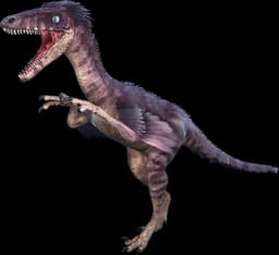 Troodon