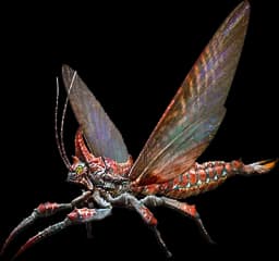 Rhyniognatha