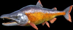 Aberrant Salmon