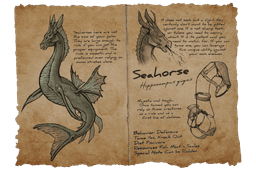 Seahorse
