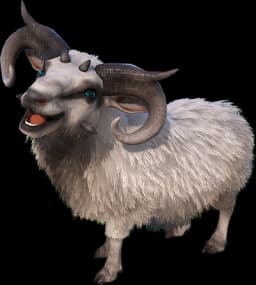 Ovis