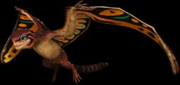 Sinomacrops